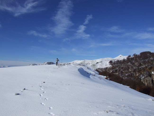 Versante laziale del Parco Nazionale d''Abruzzo